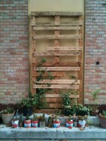 /album/living-wood/struttura-a-parete-jpg/